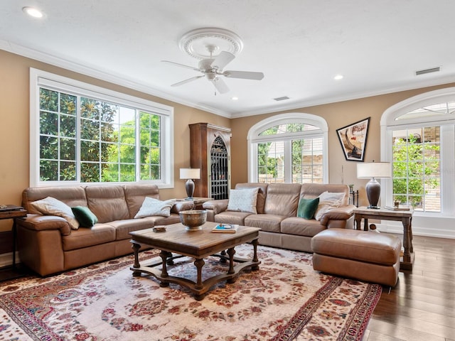 living room featuring ceiling fan, hardwood / wood-style floors, and ornamental molding