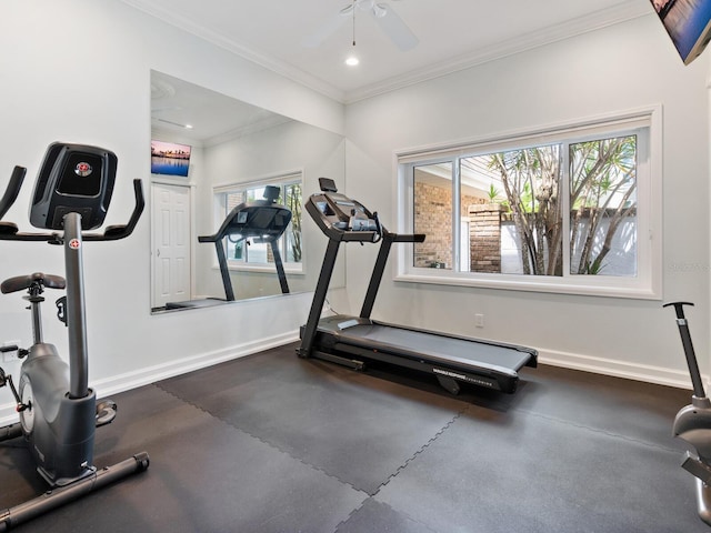 workout room featuring ceiling fan and crown molding