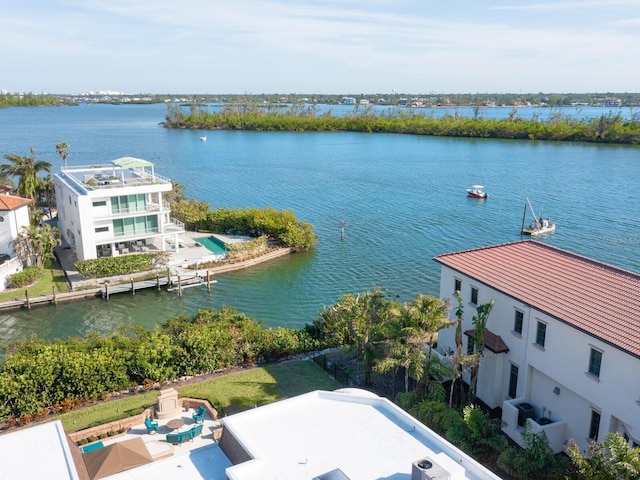 water view with a dock