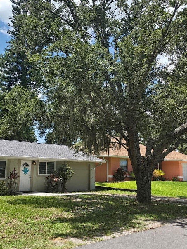 single story home featuring a front lawn