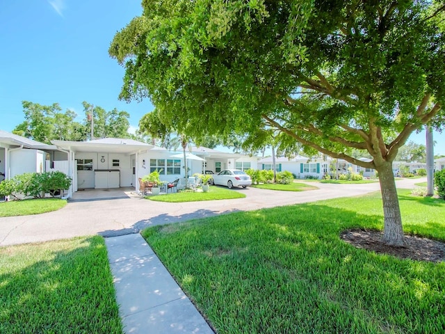 view of yard with a carport