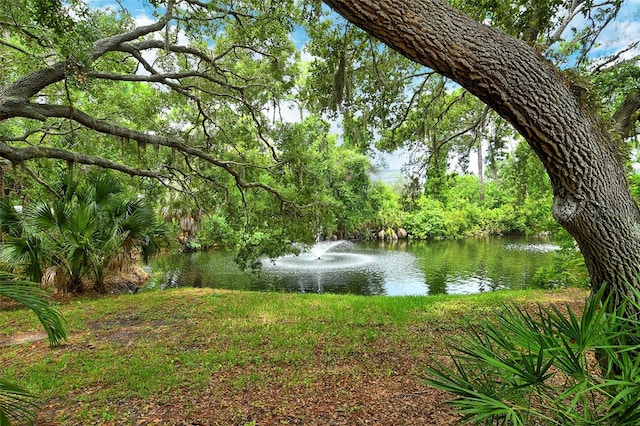 view of water feature