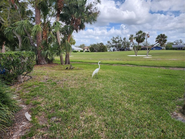 7673 Fairway Woods Dr Unit 706, Sarasota, FL 34238 - view of yard