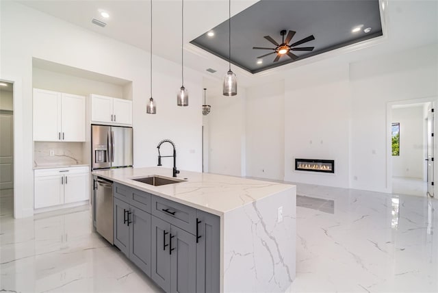 kitchen with stainless steel appliances, a tray ceiling, a glass covered fireplace, and a sink