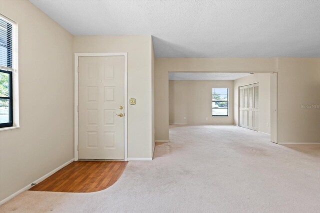 spare room featuring carpet floors and a textured ceiling