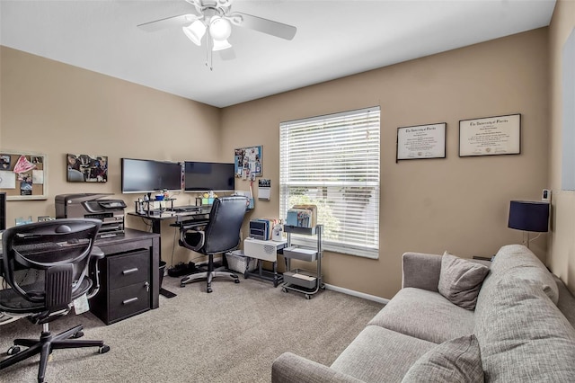 office featuring ceiling fan and carpet flooring