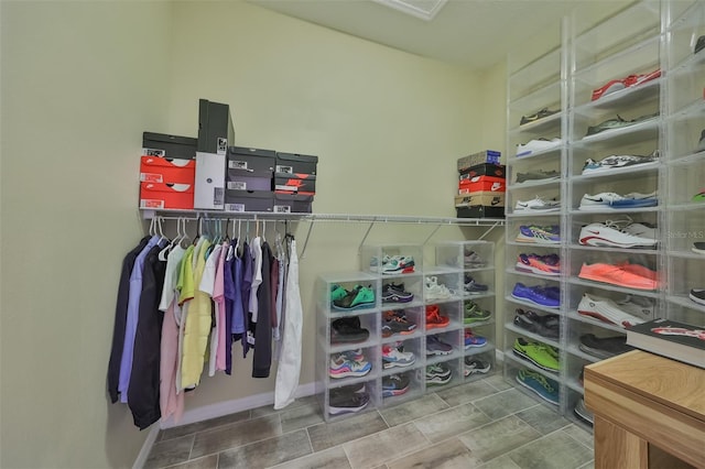 view of spacious closet