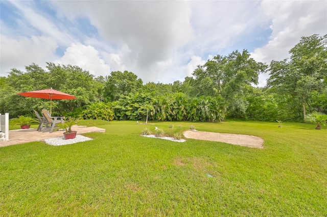 view of yard with a patio area