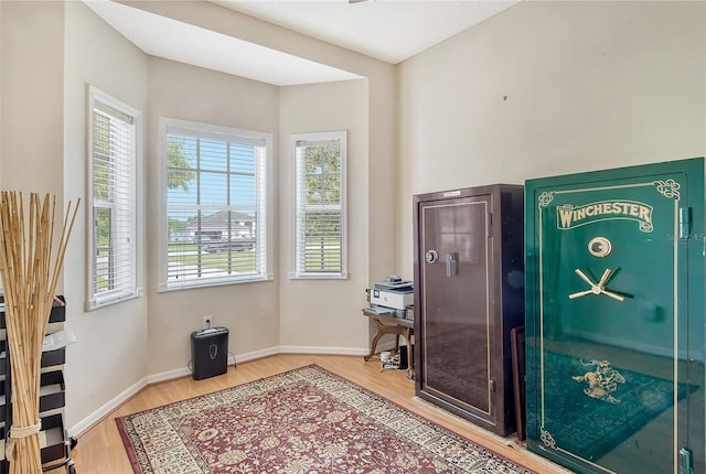 miscellaneous room featuring a healthy amount of sunlight and light hardwood / wood-style flooring