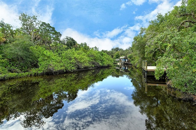 property view of water featuring a dock