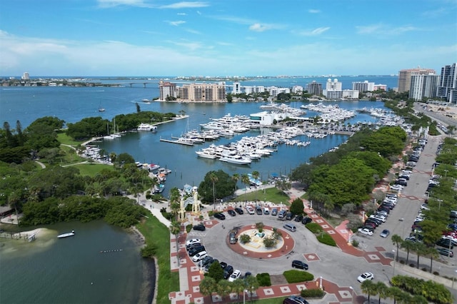 drone / aerial view with a water view