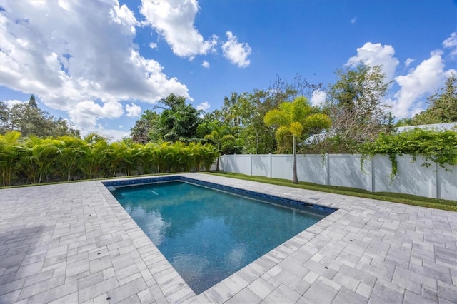 view of pool featuring a patio