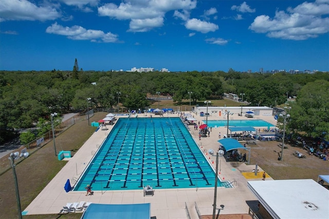 view of pool featuring a patio