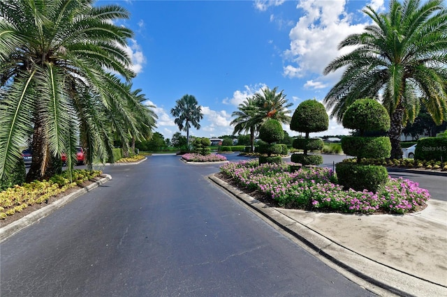 view of road with curbs