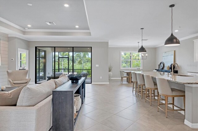 living room with a healthy amount of sunlight, sink, and a tray ceiling