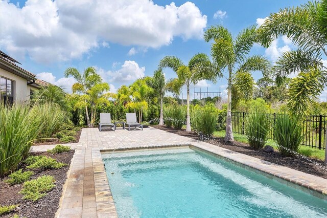 view of pool with a patio area