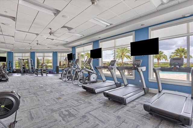 workout area with a paneled ceiling, ceiling fan, and carpet flooring