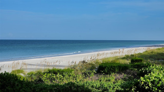 water view featuring a beach view