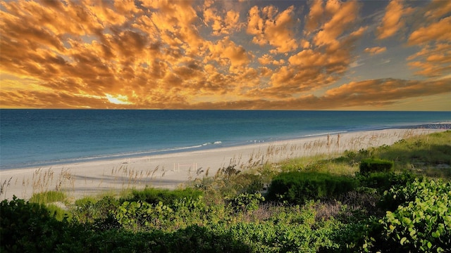 property view of water featuring a beach view