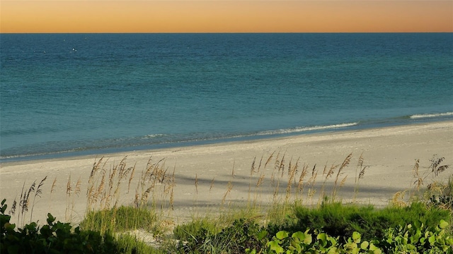 water view featuring a beach view