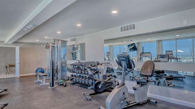 exercise room with plenty of natural light