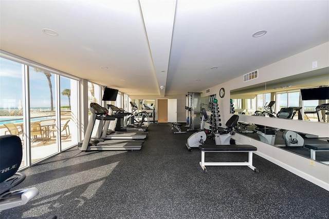 workout area featuring a healthy amount of sunlight