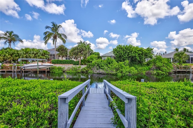 dock area with a water view