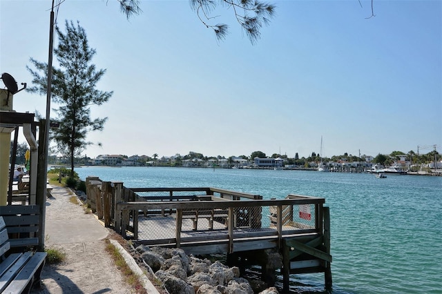 dock area with a water view