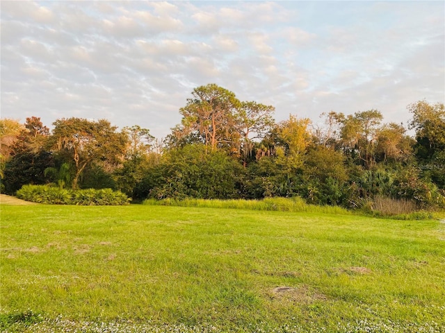 617 130th Ct NE, Bradenton FL, 34212 land for sale