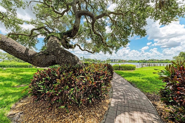 surrounding community with a lawn