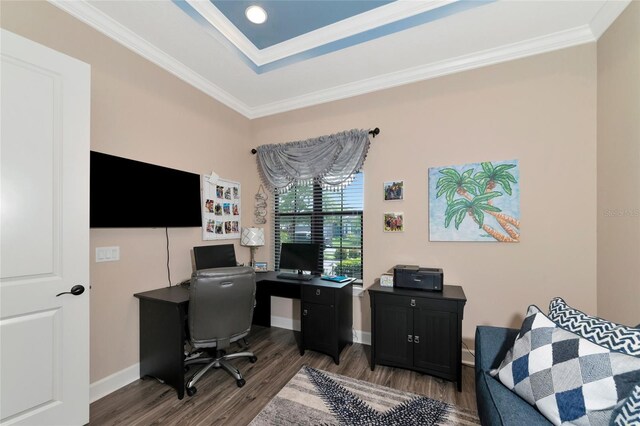 office space featuring dark wood-type flooring and crown molding