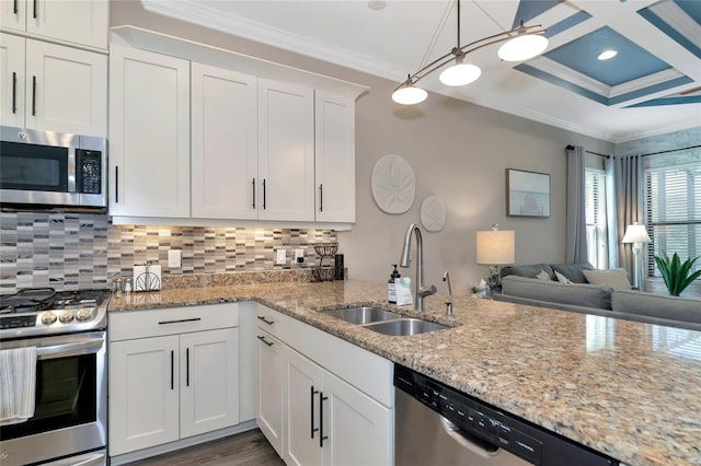 kitchen featuring hardwood / wood-style flooring, crown molding, appliances with stainless steel finishes, and sink