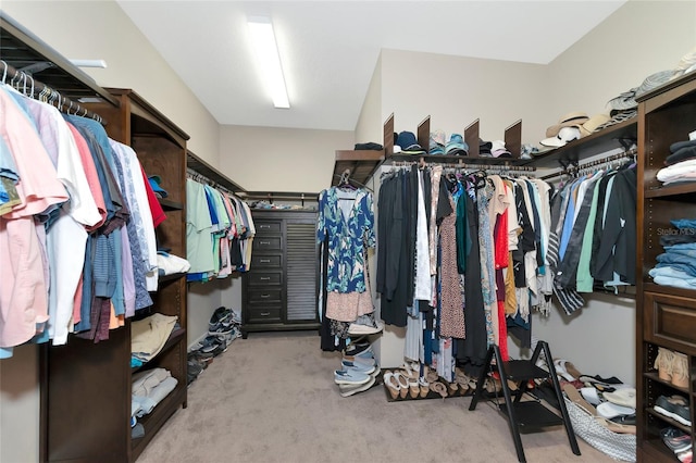 spacious closet with light carpet