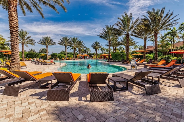 view of pool with a patio