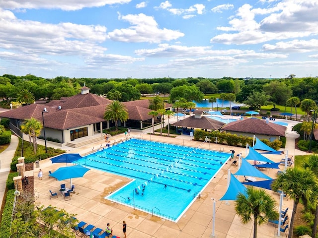 view of swimming pool with a patio area