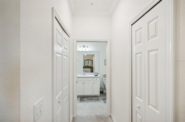 hall with light carpet, sink, and ornamental molding