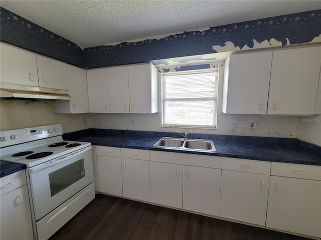 707 13th St W, Palmetto, FL 34221 - kitchen featuring a sink, white cabinetry, under cabinet range hood, and white electric stove