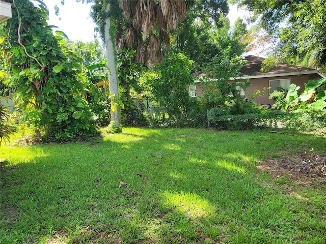 707 13th St W, Palmetto, FL 34221 - view of yard