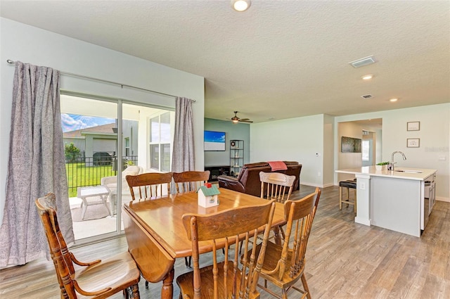 dining area featuring sink, a textured ceiling, ceiling fan, and light wood-type flooring