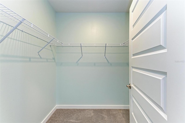 spacious closet featuring light colored carpet