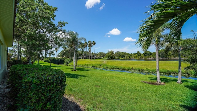 view of yard with a water view