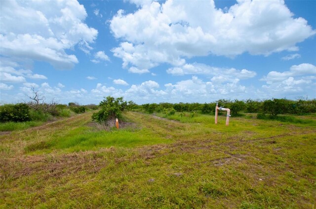 44750 Neal Rd, Punta Gorda, FL 33982 - photo 4