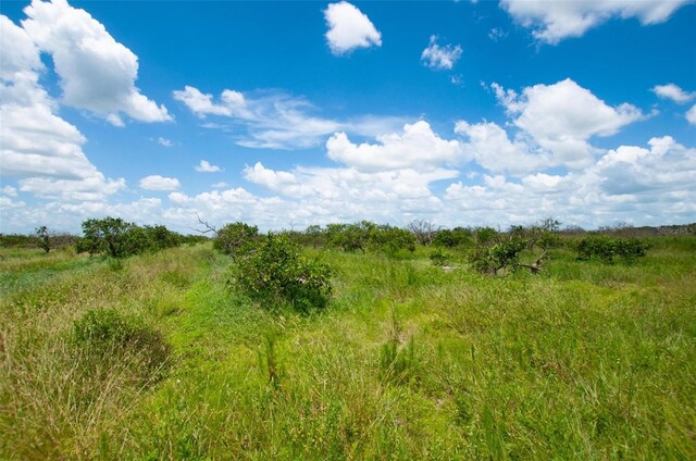 44750 Neal Rd, Punta Gorda, FL 33982 - photo 6