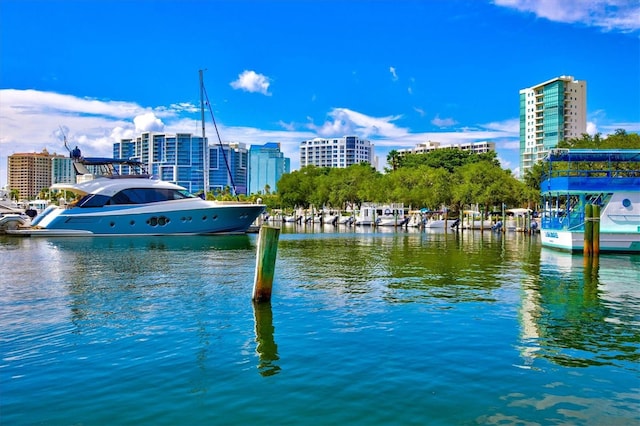 property view of water featuring a dock and a city view