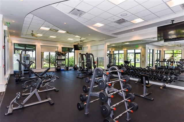 exercise room with a drop ceiling, plenty of natural light, and ceiling fan