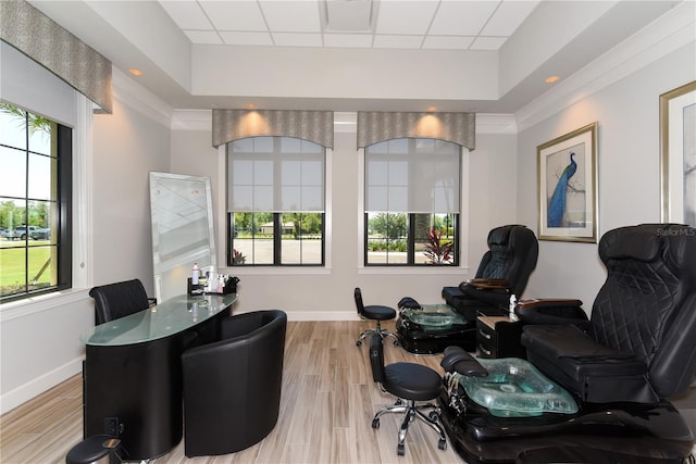 miscellaneous room with light wood-type flooring, a tray ceiling, plenty of natural light, and crown molding