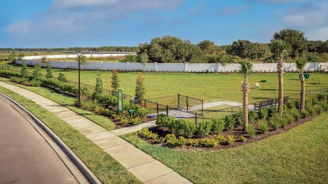 view of yard with a rural view