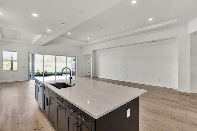 kitchen featuring plenty of natural light, light hardwood / wood-style floors, sink, and an island with sink