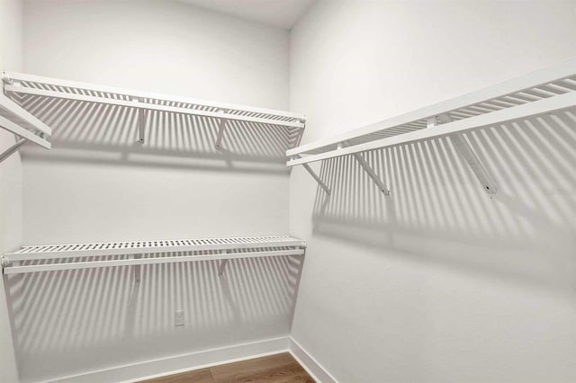 walk in closet featuring wood-type flooring