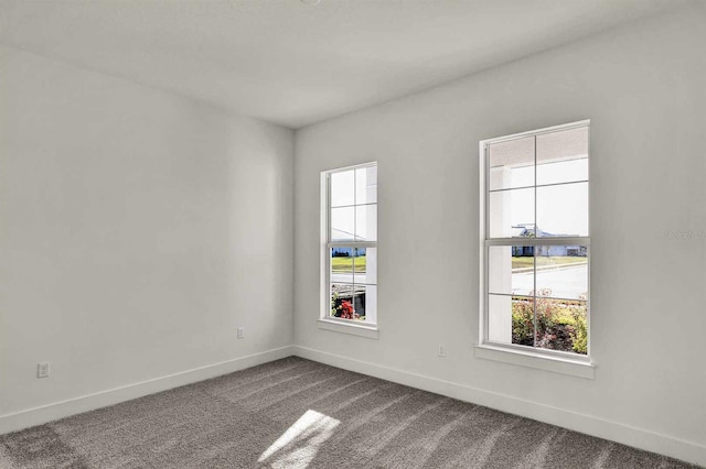 empty room featuring carpet flooring and a healthy amount of sunlight